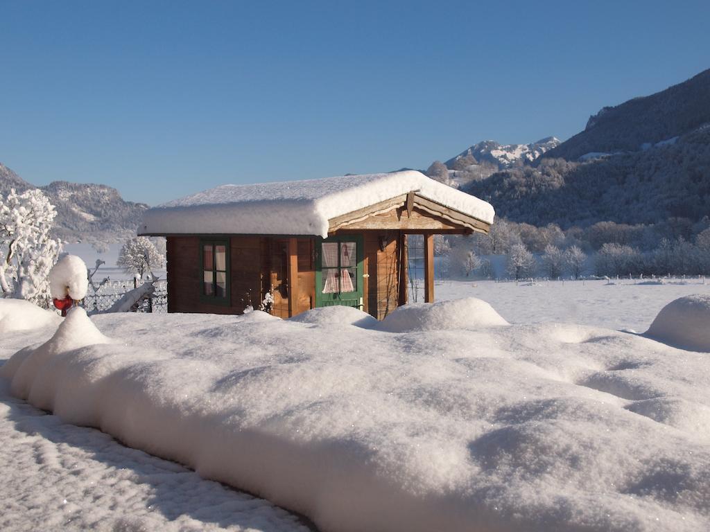 Alpenresidenz Chiemgau Apartment Шлехинг Екстериор снимка