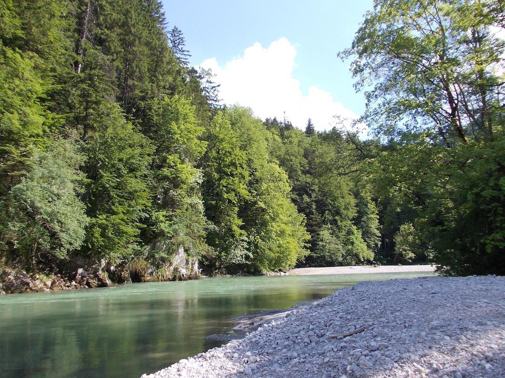 Alpenresidenz Chiemgau Apartment Шлехинг Екстериор снимка